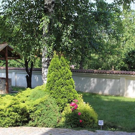Hotel Radi Sapareva Banja Exteriér fotografie
