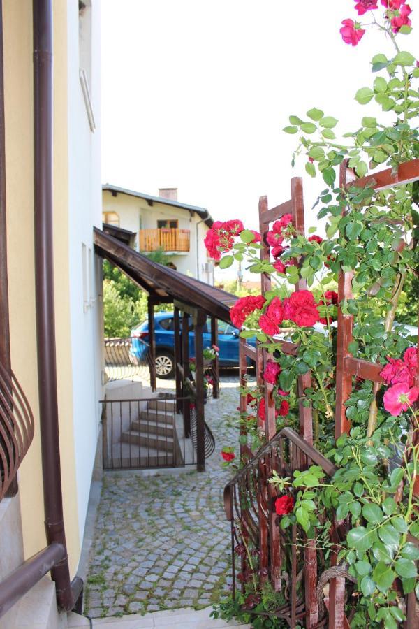 Hotel Radi Sapareva Banja Exteriér fotografie